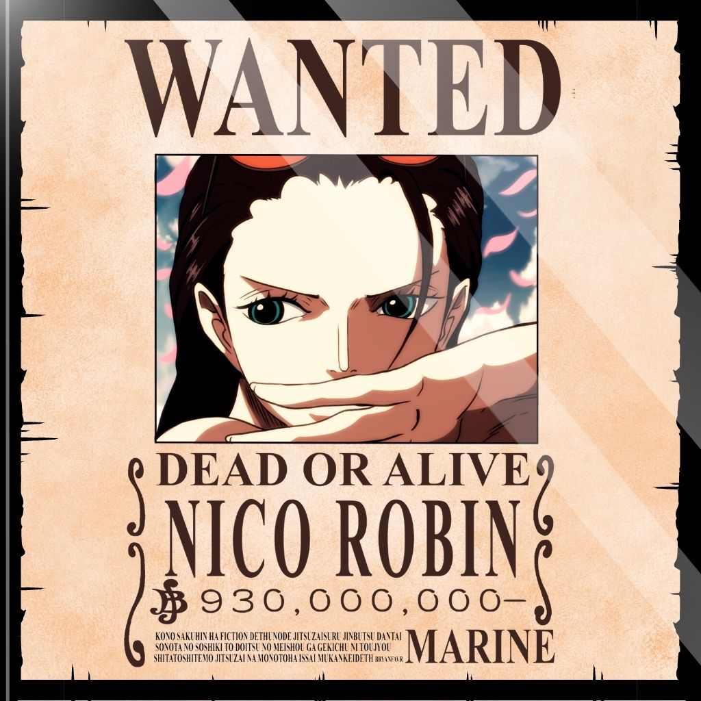 Posavaso Wanted Robin - One piece