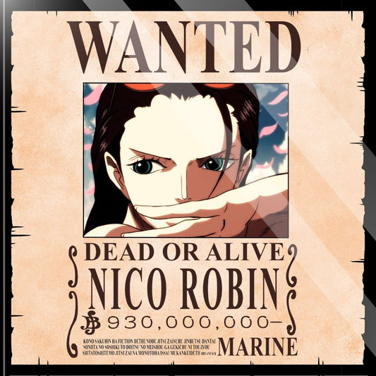 Posavaso Wanted Robin - One piece