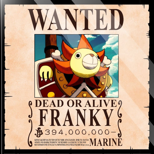 Posavaso Wanted Franky - One piece